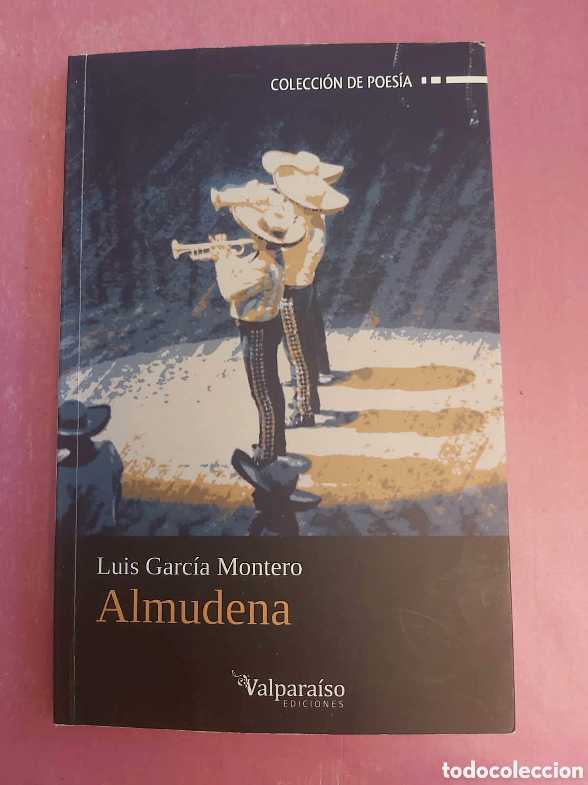 Libros de segunda mano: ALMUDENA LUIS GARC&Iacute;A MONTERO VALPARA&Iacute;SO EDICIONES