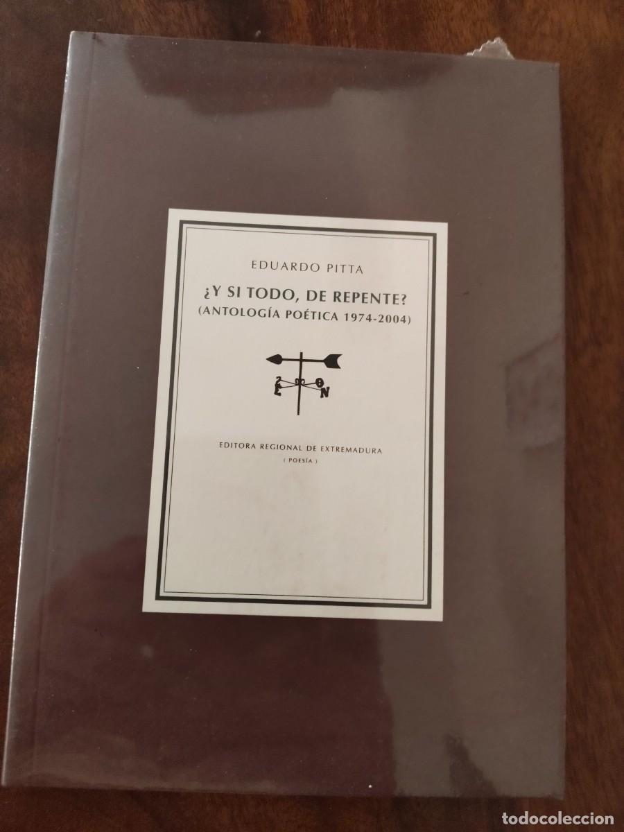 Libros de segunda mano: Eduardo Pitta. Y si todo de Repente? Letras Portuguesas. Editora Regional de Extremadura.