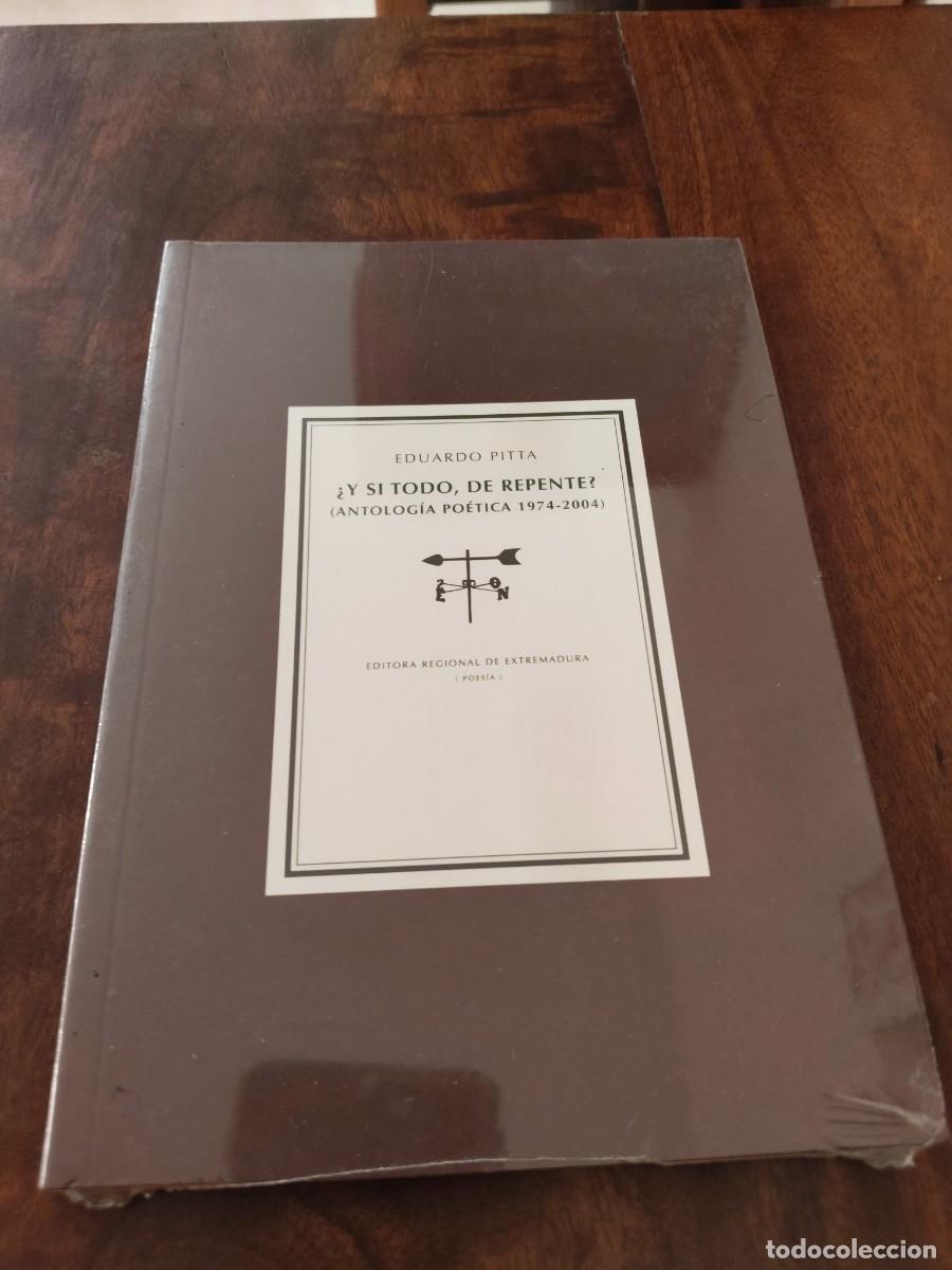 Libros de segunda mano: Eduardo Pitta. Y si todo, de Repente? Letras Portuguesas. Editora Regional de Extremadura.