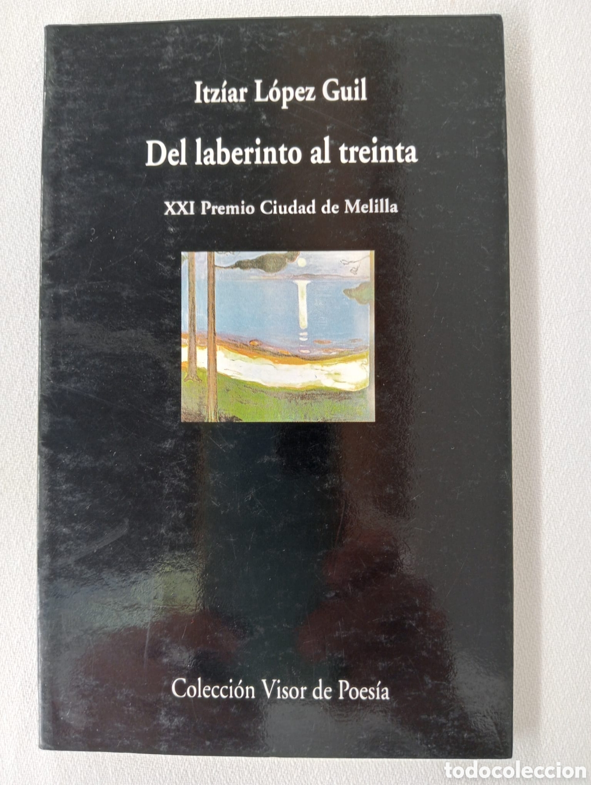 Libros de segunda mano: Del laberinto al treinta / Itziar L&oacute;pez Guil. Col. Visor de poes&iacute;a, 439