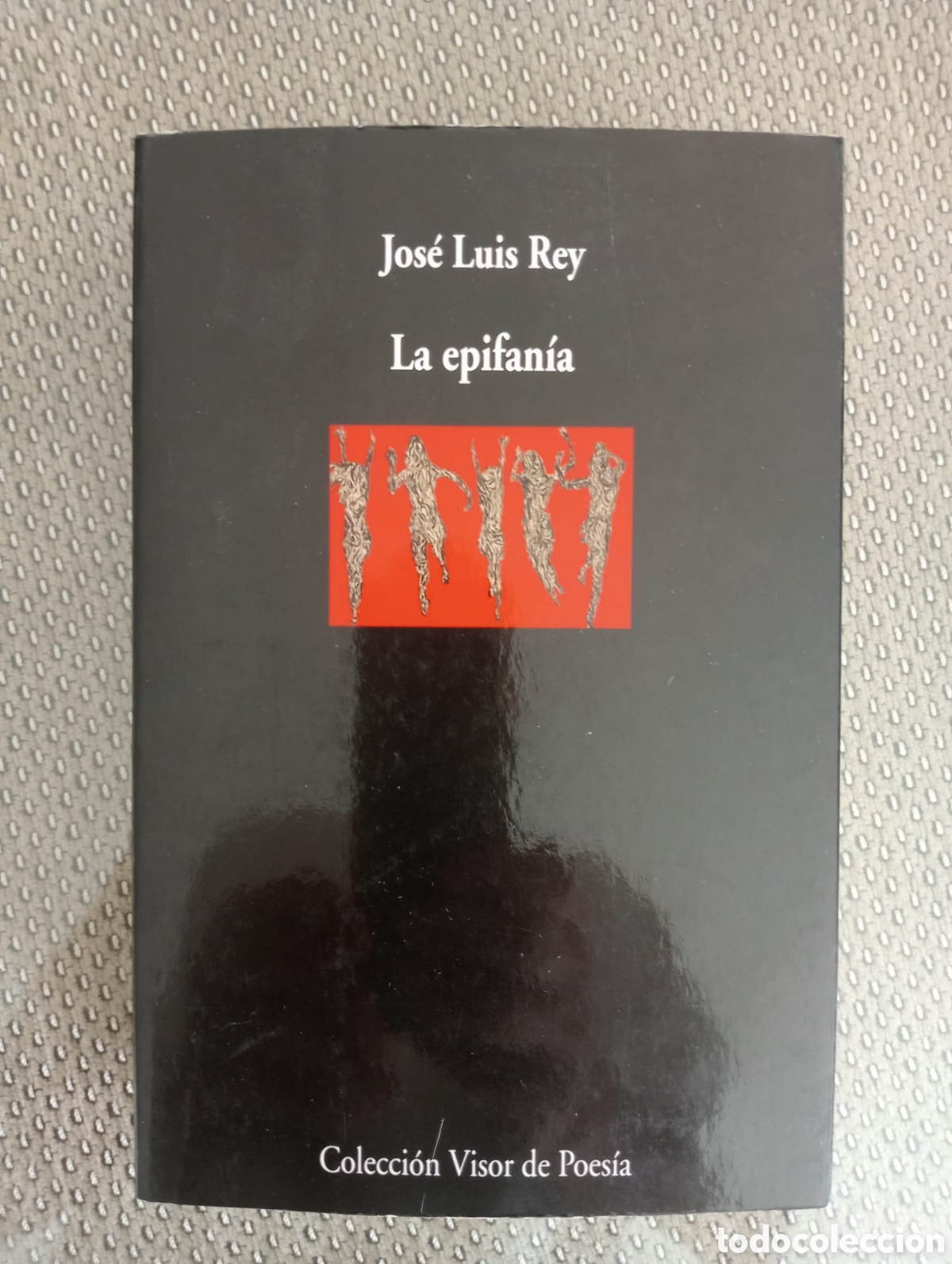 Libros de segunda mano: La epifan&iacute;a / Jos&eacute; Luis Rey. Col. Visor de poes&iacute;a, 1021.
