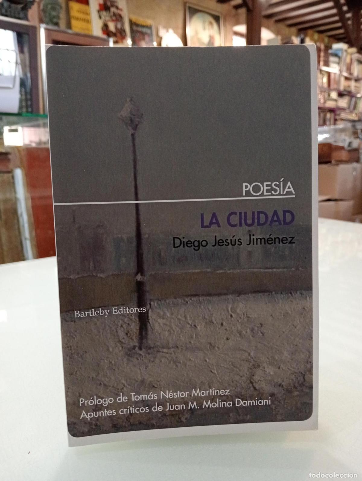 Libros de segunda mano: La ciudad - Jim&eacute;nez Diego Jes&uacute;s