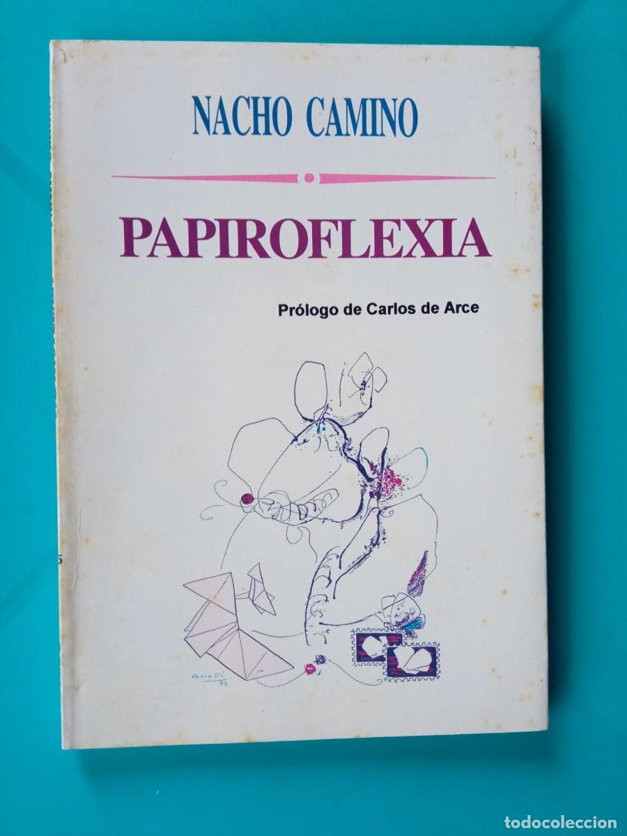 Libros de segunda mano: Papiroflexia (libro de poemas) Nacho Camino