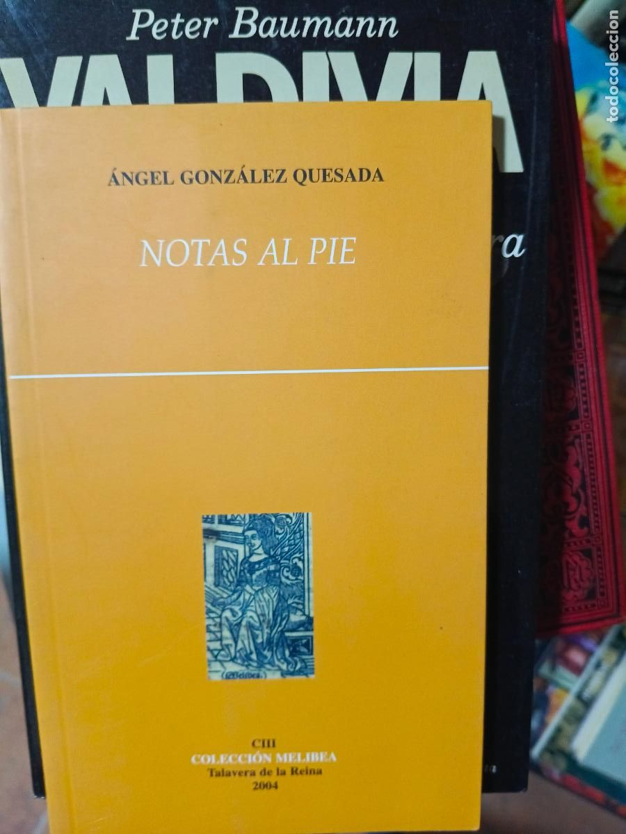 Libros de segunda mano: NOTAS AL PIE - ANGEL GONZALEZ QUESADA