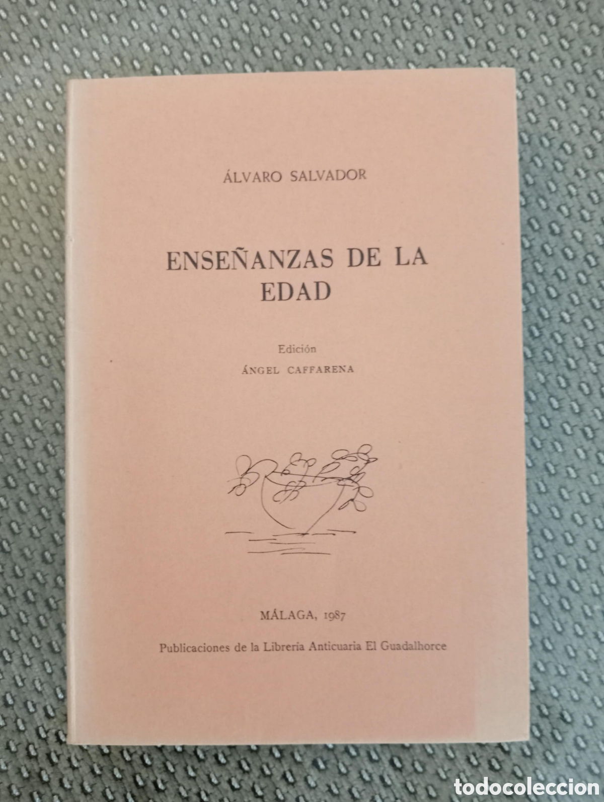 Libros de segunda mano: La ense&ntilde;anzas de la edad / &Aacute;lvaro Salvador. Cuadernos de Raquel, 8. &Aacute;ngel Caffarena edici&oacute;n