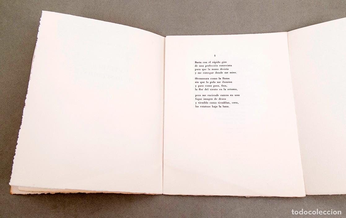 Libros de segunda mano: DANIEL DEVOTO - CANTARES DE DESPEDIDA - 1978 - Foto 4