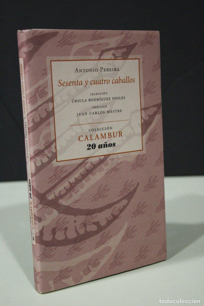 Gebrauchte B&uuml;cher: Sesenta y cuatro caballos - Pereira, Antonio.