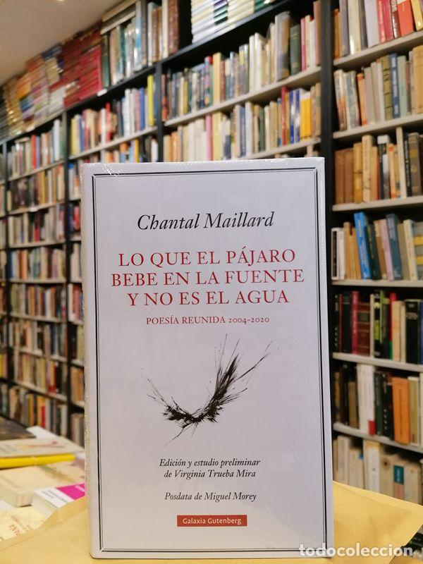 Libros de segunda mano: Lo que el p&aacute;jaro bebe en la fuente y no es el agua. (Poes&iacute;a reunida 2004-2020). - Maillard, Chantal.