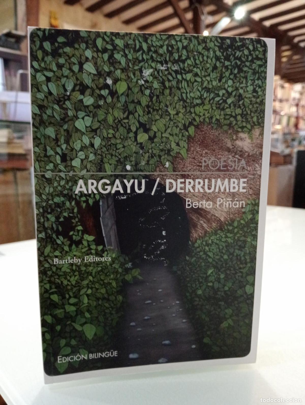 Libros de segunda mano: Argayu/Derrumbe - Berta Pi&ntilde;&aacute;n Su&aacute;rez