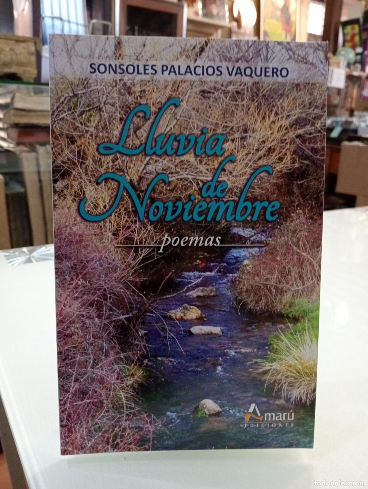 Libros de segunda mano: Lluvia de Noviembre - Palacios Vaquero, Sonsoles.