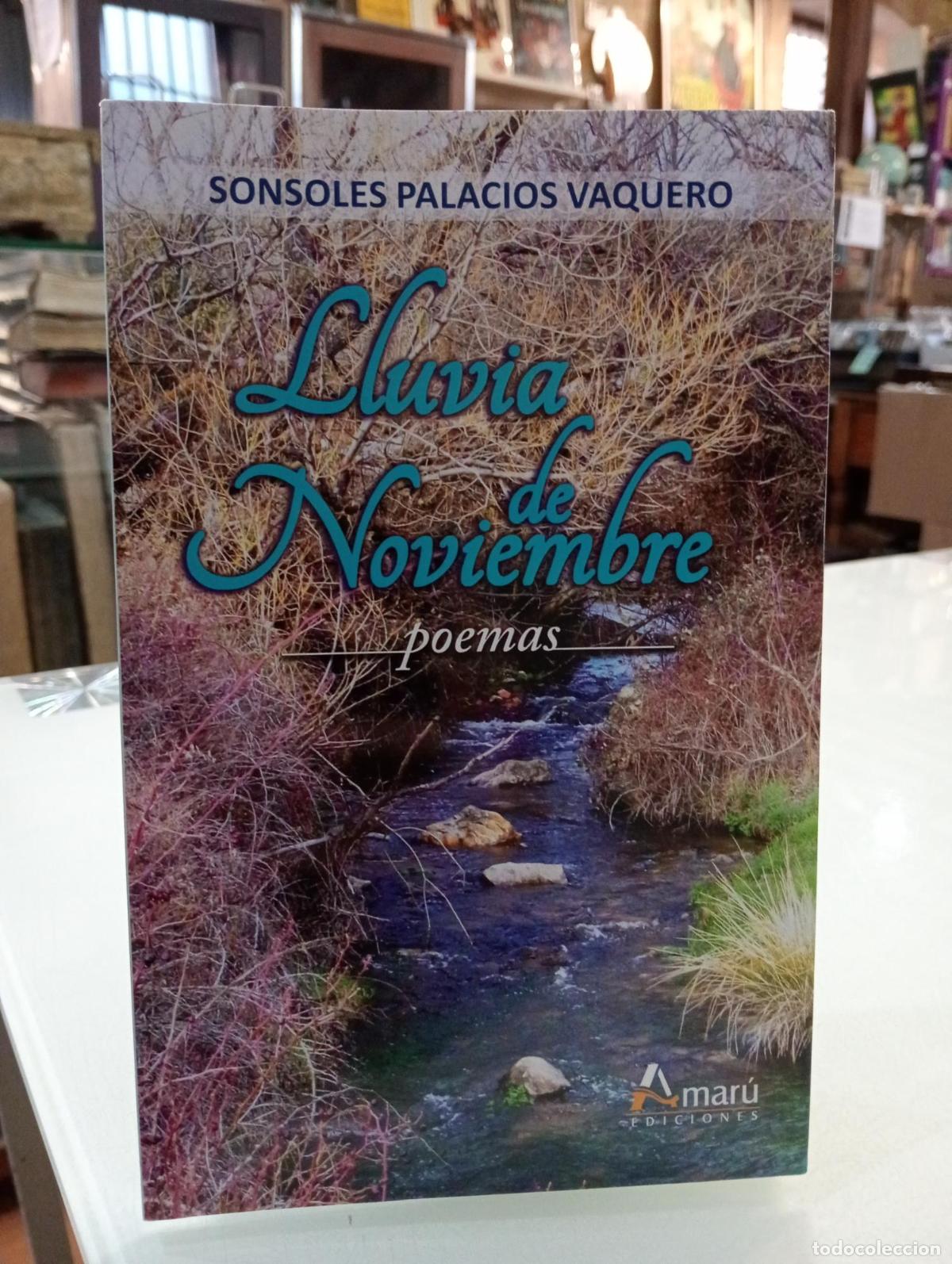 Libros de segunda mano: Lluvia de Noviembre - Palacios Vaquero, Sonsoles.