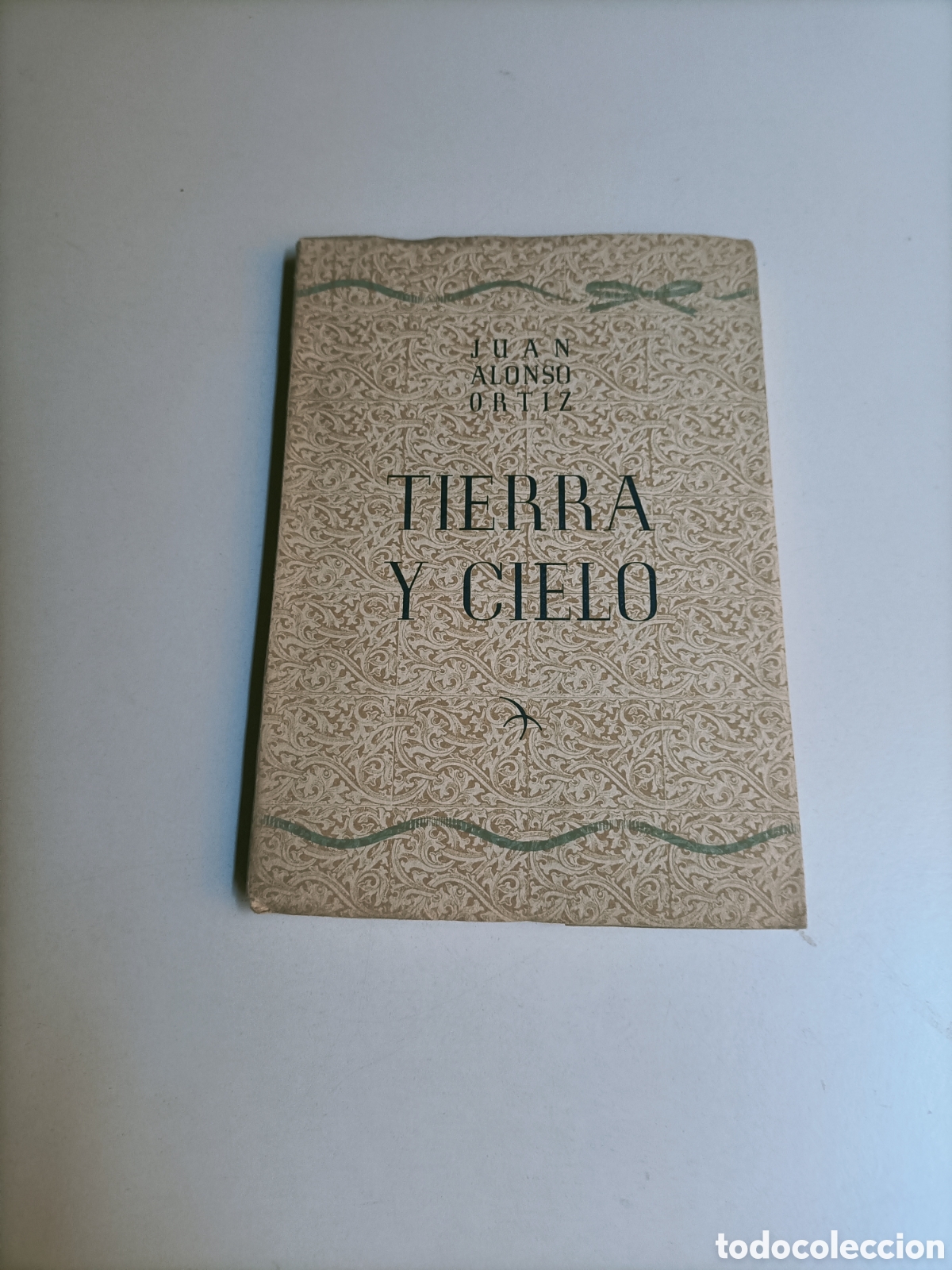 Libros de segunda mano: Tierra y cielo. Juan Alonso Ortiz 1945