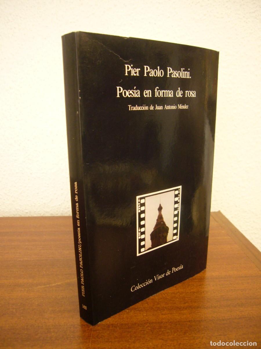 Libros de segunda mano: PIER PAOLO PASOLINI: POES&Iacute;A EN FORMA DE ROSA 1961-1964 (VISOR, 2002) MUY BUEN EJEMPLAR. RARO.