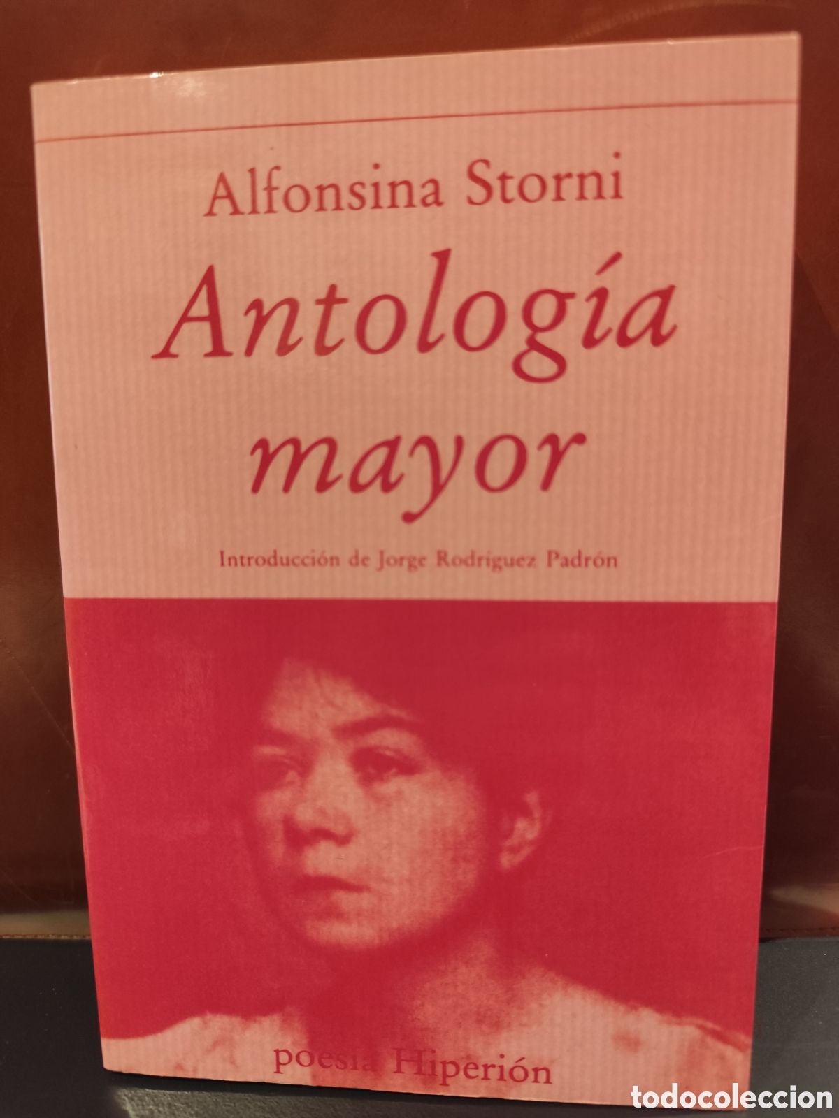 Libros de segunda mano: Alfonsina Storni. Antolog&iacute;a mayor