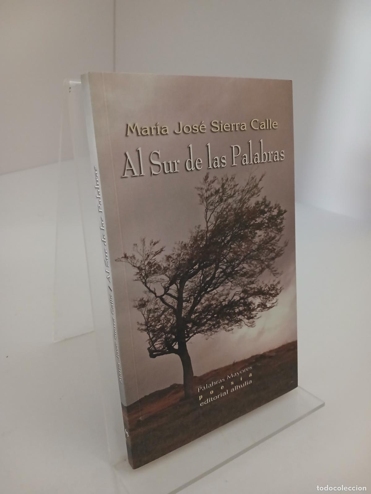 Libros de segunda mano: Al Sur de las palabras - Mar&iacute;a Jos&eacute; Sierra Calle
