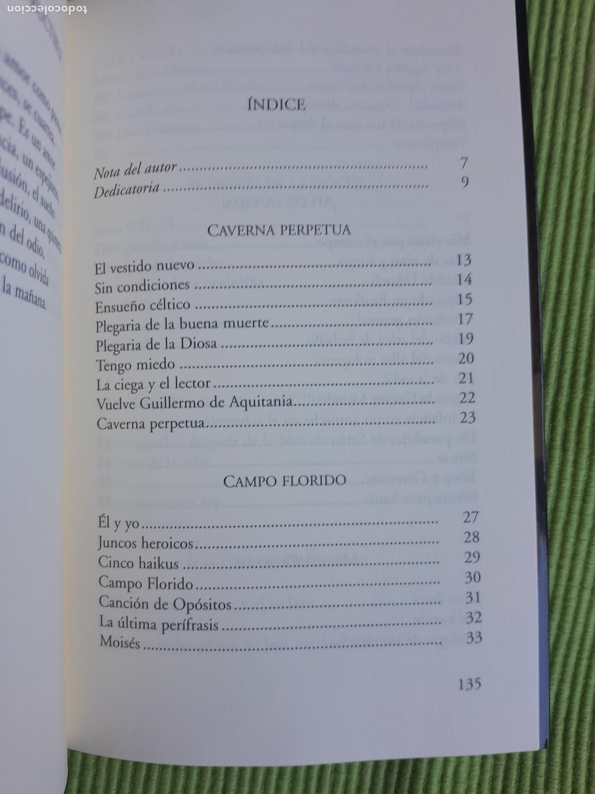 Libros de segunda mano: CUADERNO DE VACACIONES. LUIS ALBERTO DE CUENCA. VISOR 2015 - Foto 6