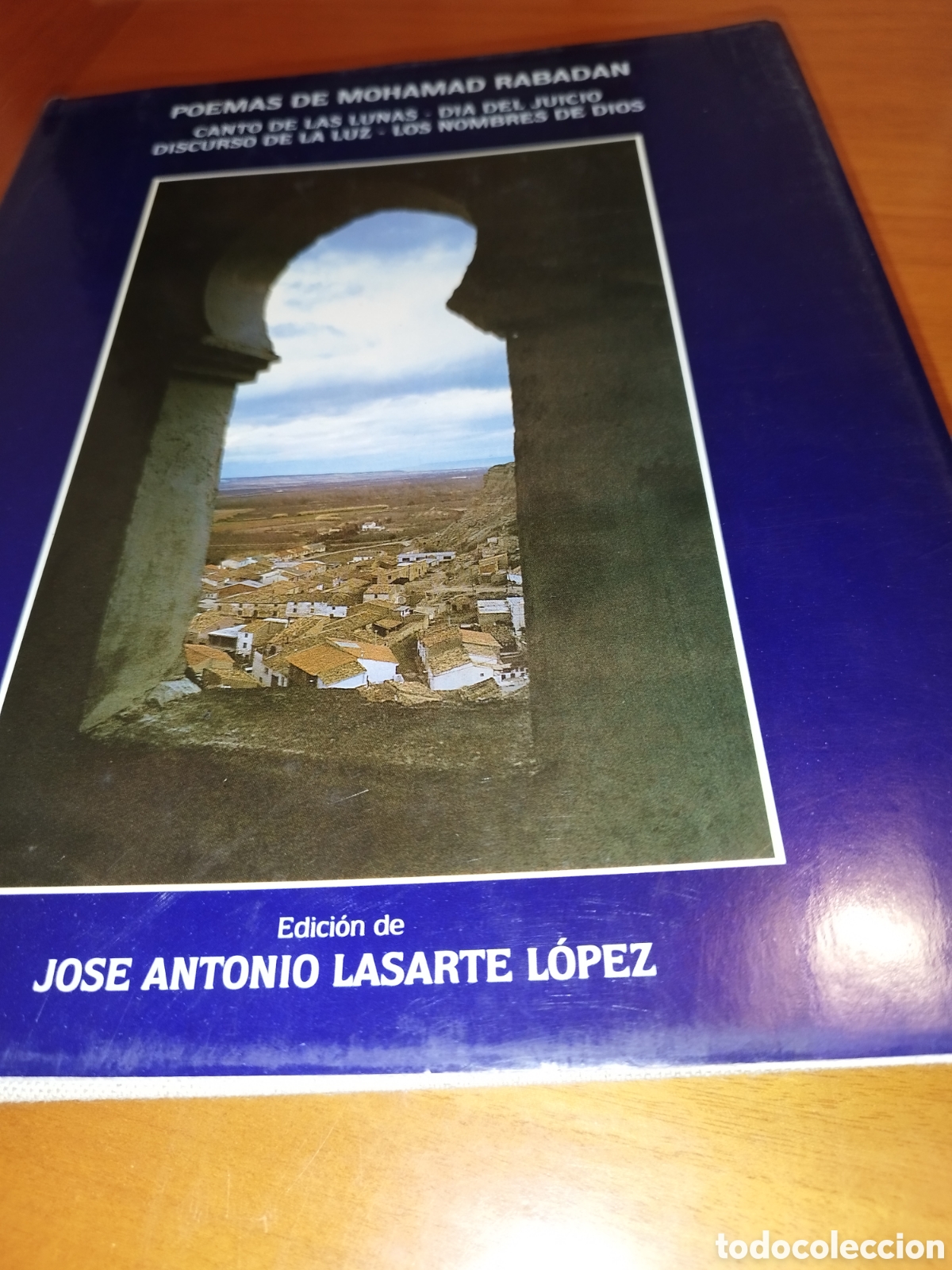 Libros de segunda mano: POEMAS DE MOHAMAD RABADAN (SIGLO XVI).- LASARTE LOPEZ. ED. DGA, 1991 PRIMERA EDICION
