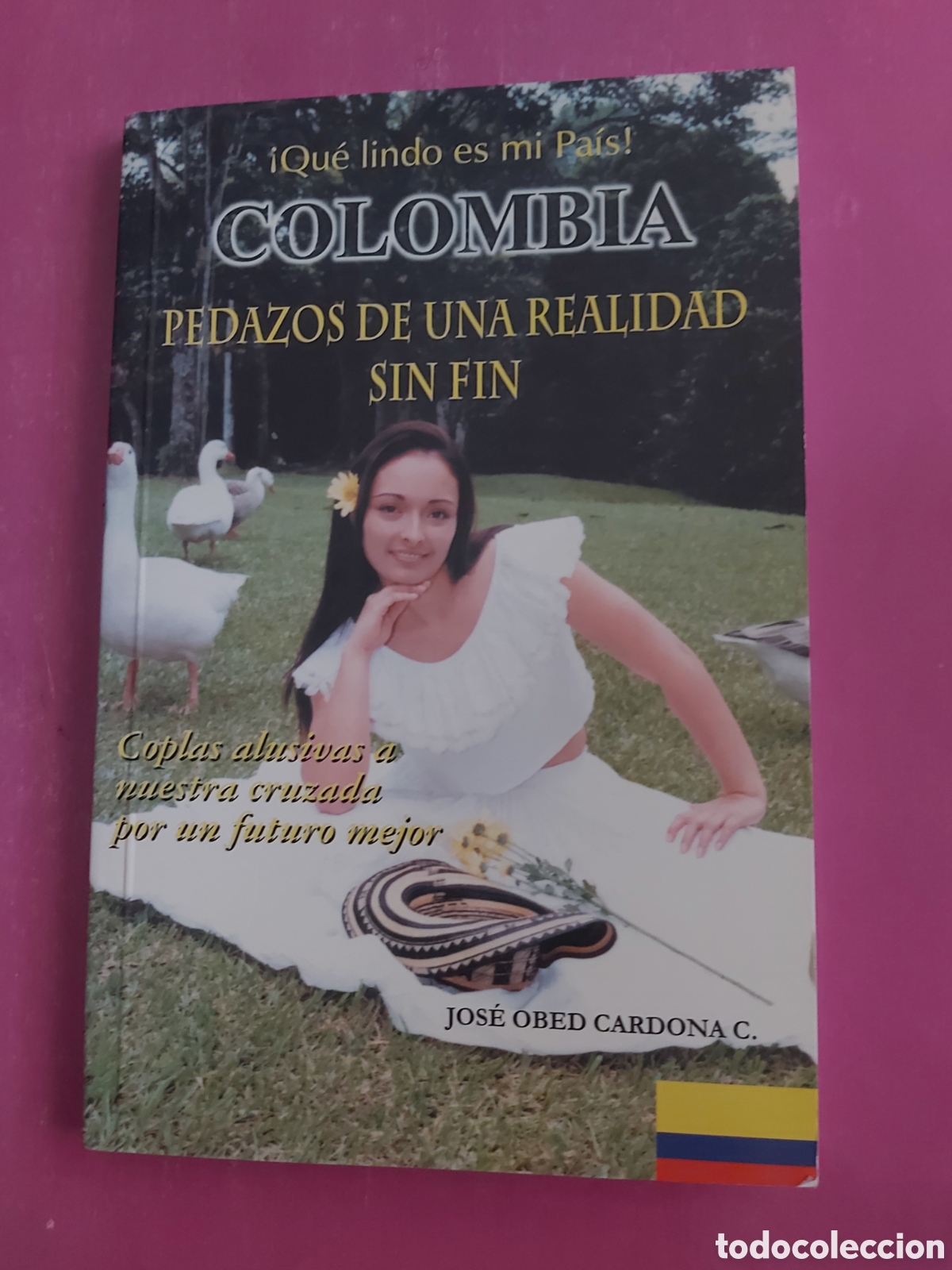 Libros de segunda mano: COLOMBIA PEDAZOS DE UNA REALIDAD SIN FIN QUE LINDO ES MI PAIS JOSE OBED CARDONA 2002