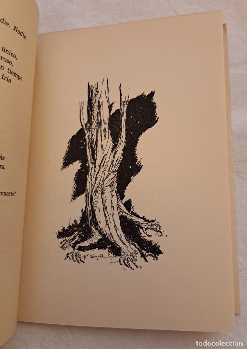 Libros de segunda mano: Nuestra elegia. Alfonso Costafreda - Foto 3