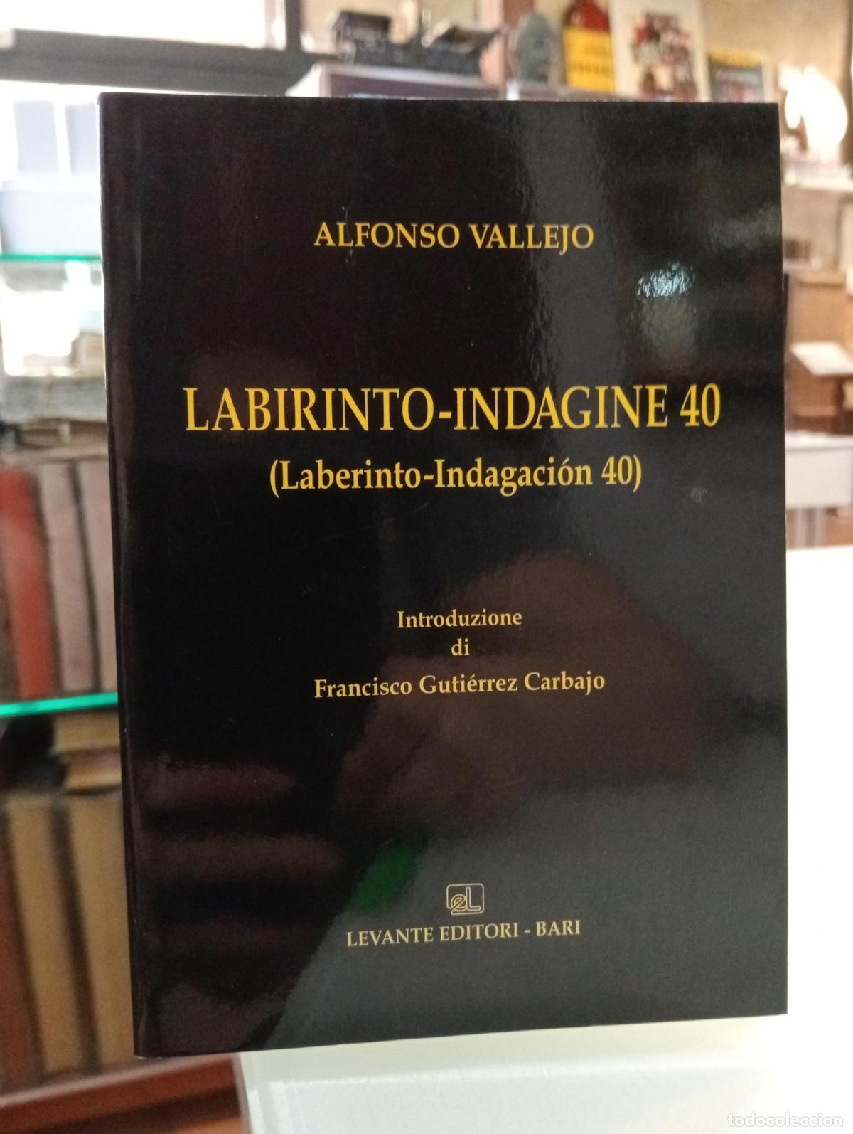 Gebrauchte B&uuml;cher: Labirinto-Indagine 40. (Laberinto-Indagaci&oacute;n 40) - Vallejo, Alfonso