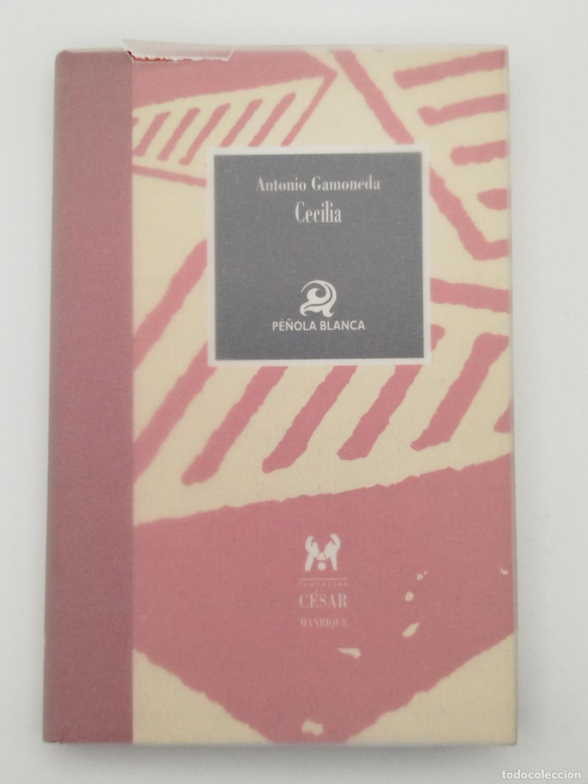 Second hand books: Cecilia - Antonio Gamoneda