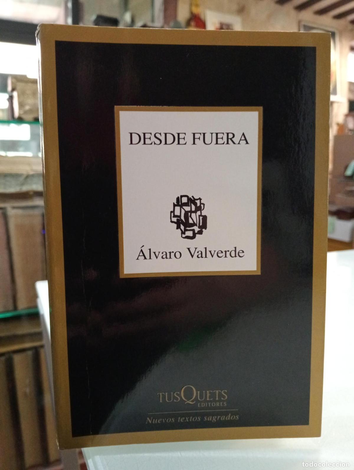 Libros de segunda mano: Desde fuera - VALVERDE ALVARO