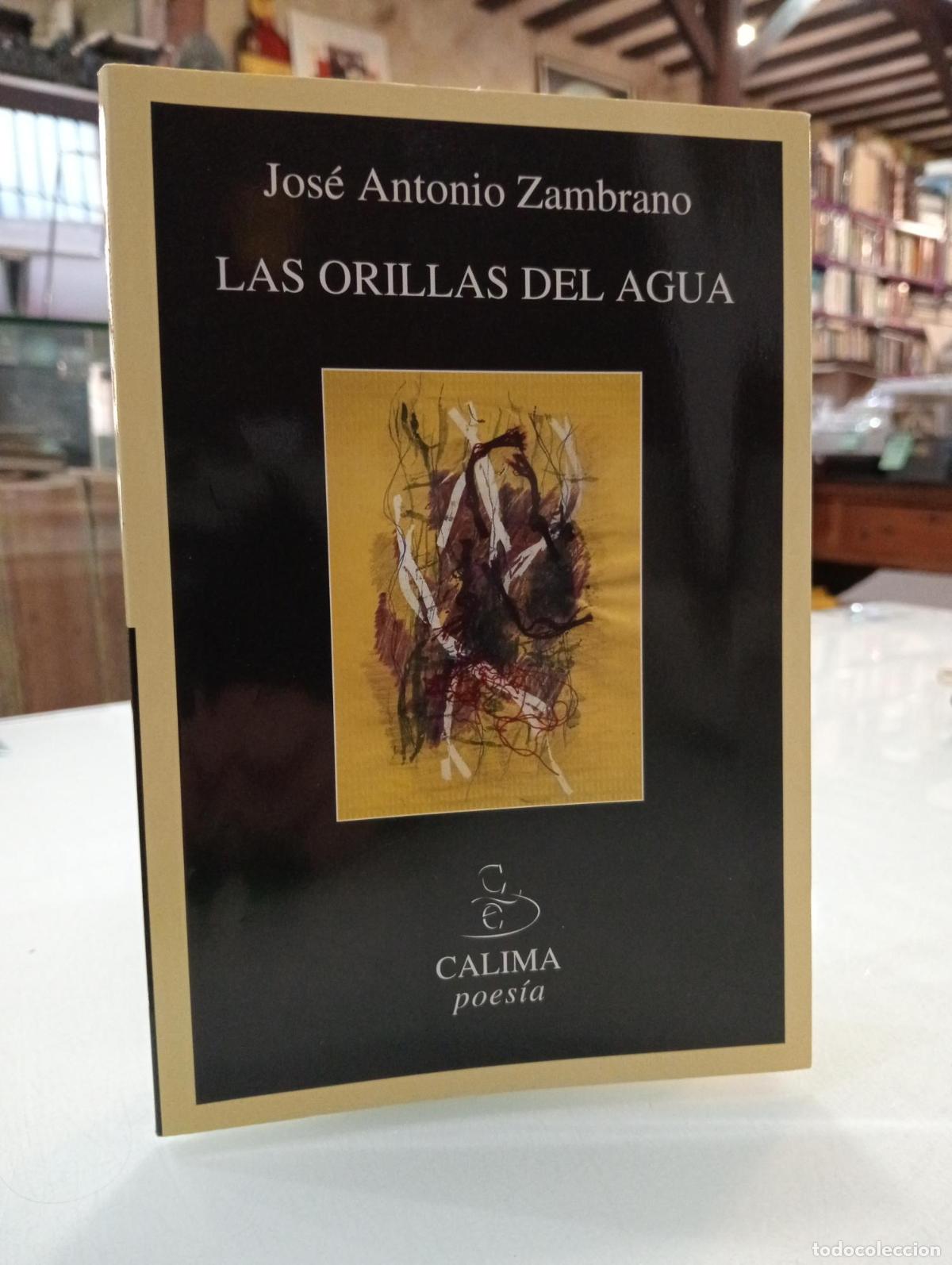 Libros de segunda mano: Las orillas del agua - Jos&eacute; Antonio Zambrano