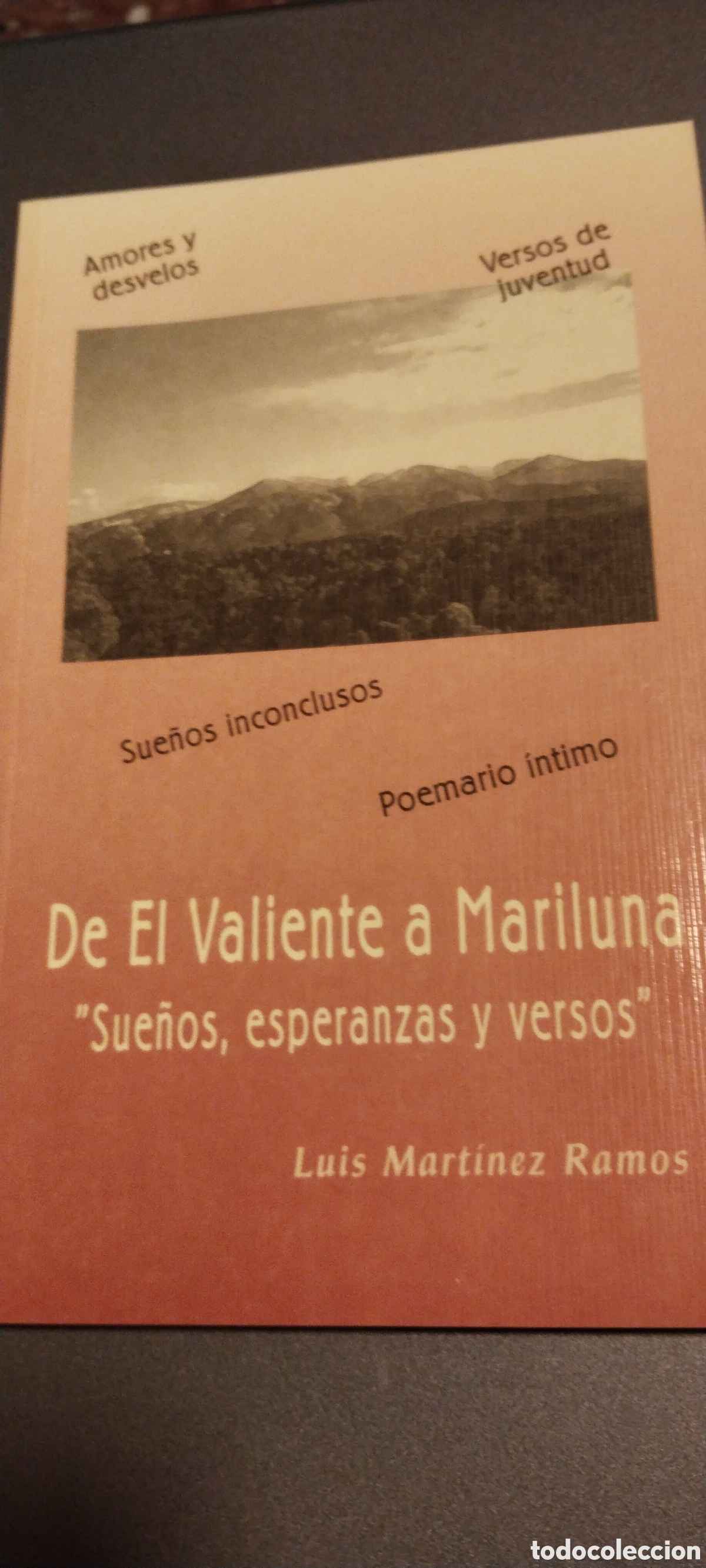 Libros de segunda mano: DE EL VALIENTE A MARILUNA.SUE&Ntilde;OS,ESPERANZAS Y VERSOS, LUIS MARTINEZ RAMOS ,2001,63PP POESIA ,REQUENA