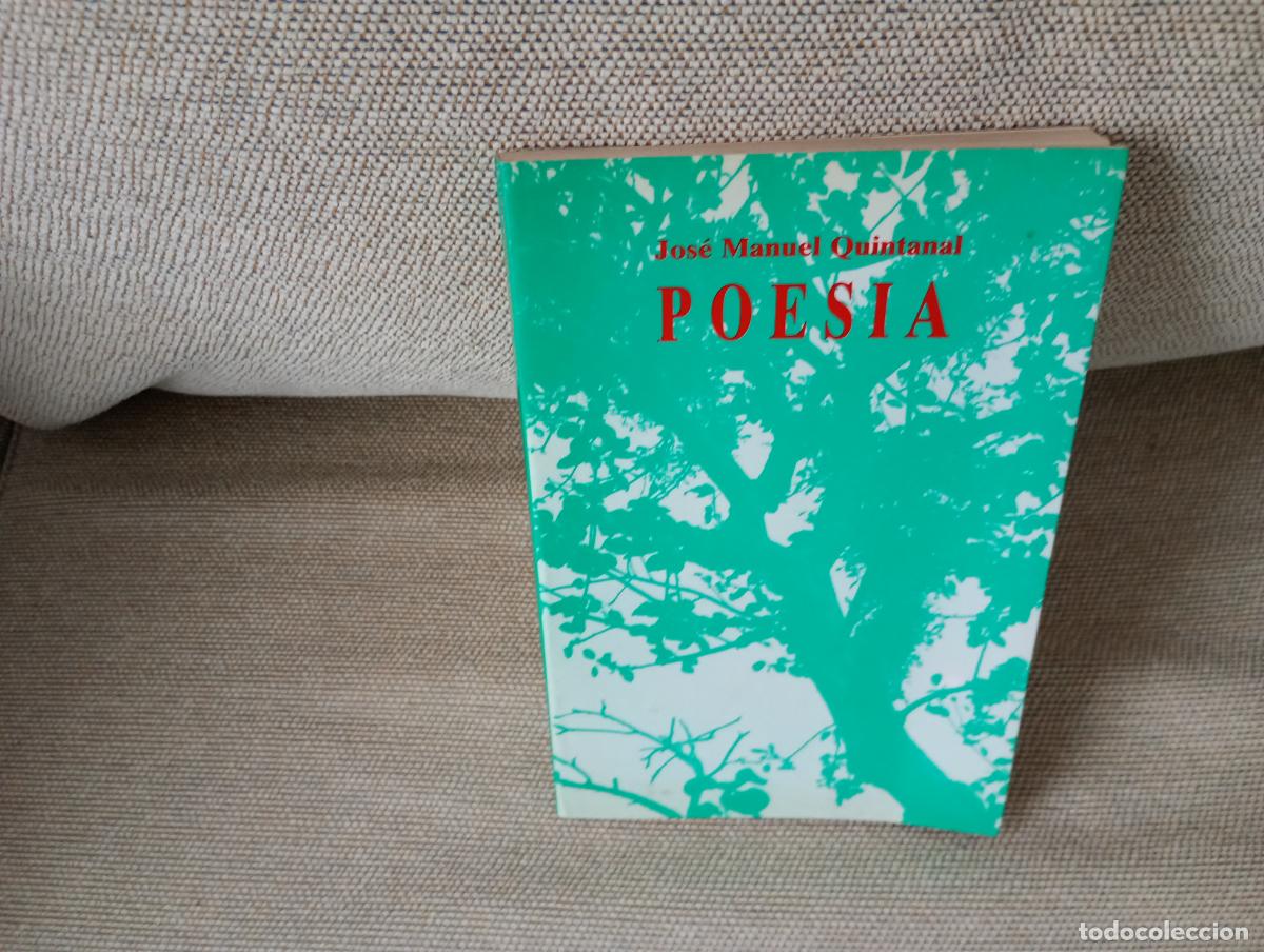 Libros de segunda mano: POESIA JOSE MANUEL QUINTANAL