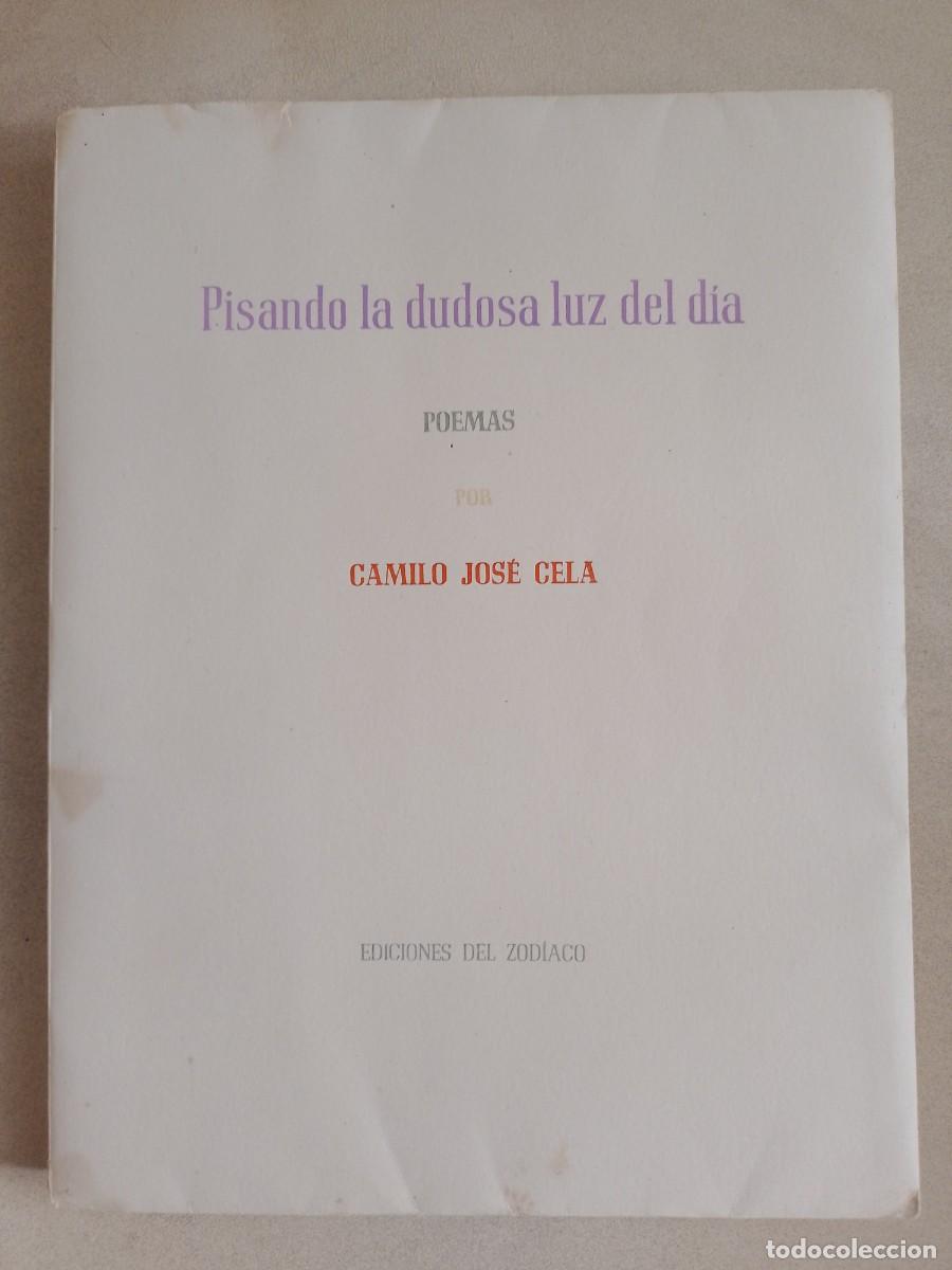 Libros de segunda mano: PISANDO LA DUDOSA LUZ DEL DIA