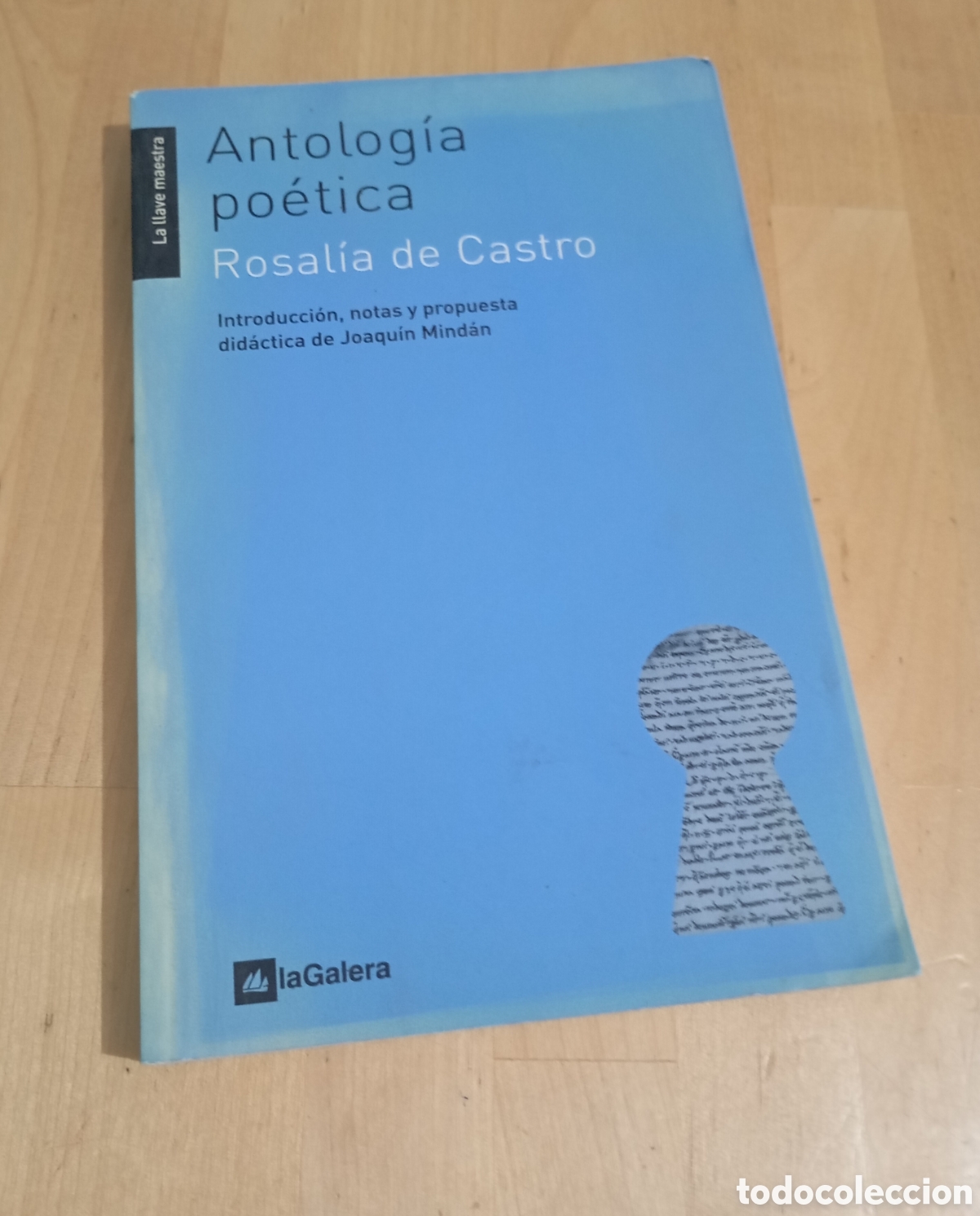Libros de segunda mano: Rosal&iacute;a de Castro Antolog&iacute;a Po&eacute;tica La Galera Joaqu&iacute;n Mind&aacute;n Navarro # Poes&iacute;a
