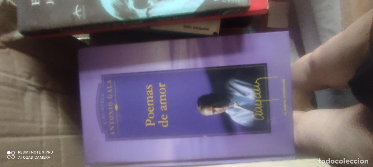 Libros de segunda mano: Poemas de amor, de Gala - Foto 1