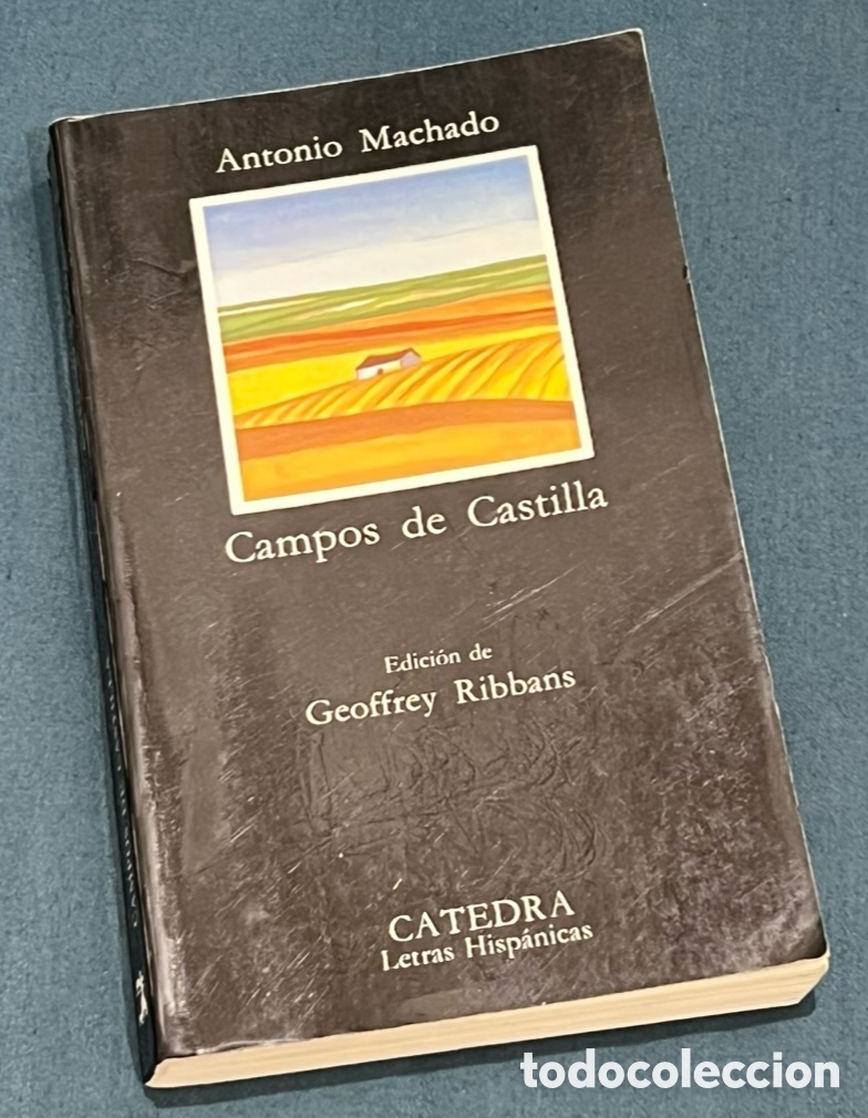 Libros de segunda mano: Libro. Antonio Machado. &ldquo;Campos de Castilla&rdquo;. Ed. C&aacute;tedra. 1999.
