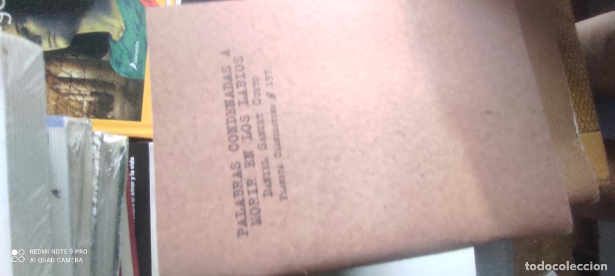 Libros de segunda mano: Palabras condenadas a morir en los labios Daniel Sancet Cueto