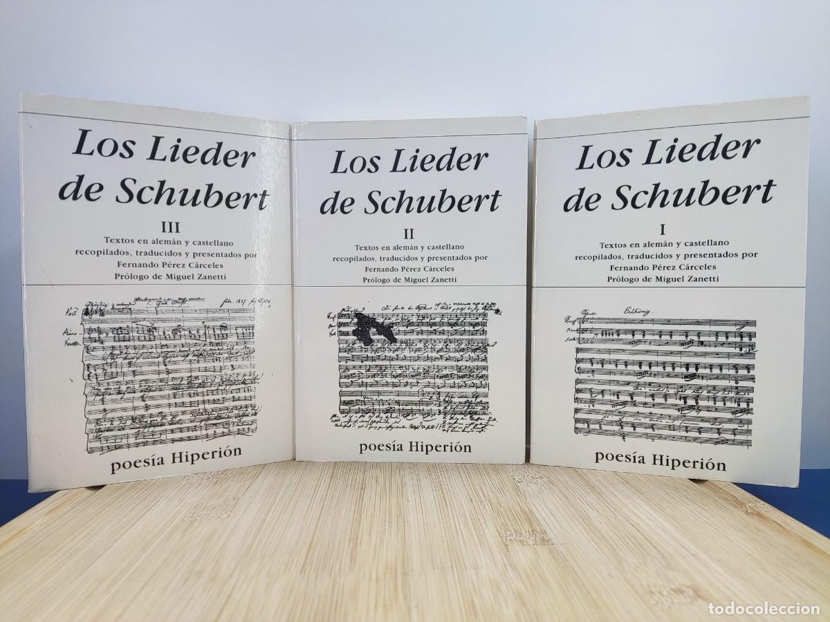 Libros de segunda mano: LOS LIEDER DE SCHUBERT / RECOPILADOS POR FERNANDEZ P&Eacute;REZ C&Aacute;RCELES / 1&ordf;ed.2005, POES&Iacute;A HIPERI&Oacute;N