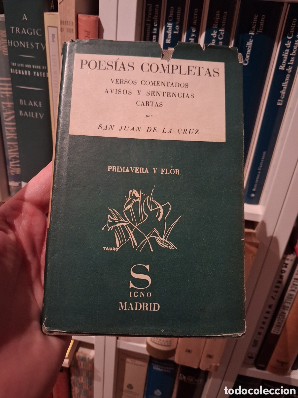 Libros de segunda mano: Cantar de cantares, Fray Luis de Le&oacute;n. Edici&oacute;n y pr&oacute;logo de Jorge Guill&eacute;n.