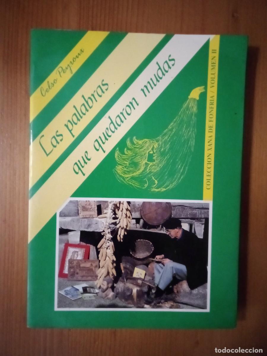 Libros de segunda mano: LAS PALABRAS QUE QUEDARON MUDAS, CELSO PEYROUX, COLECCION XANA DE FONFRIA VOLUMEN II