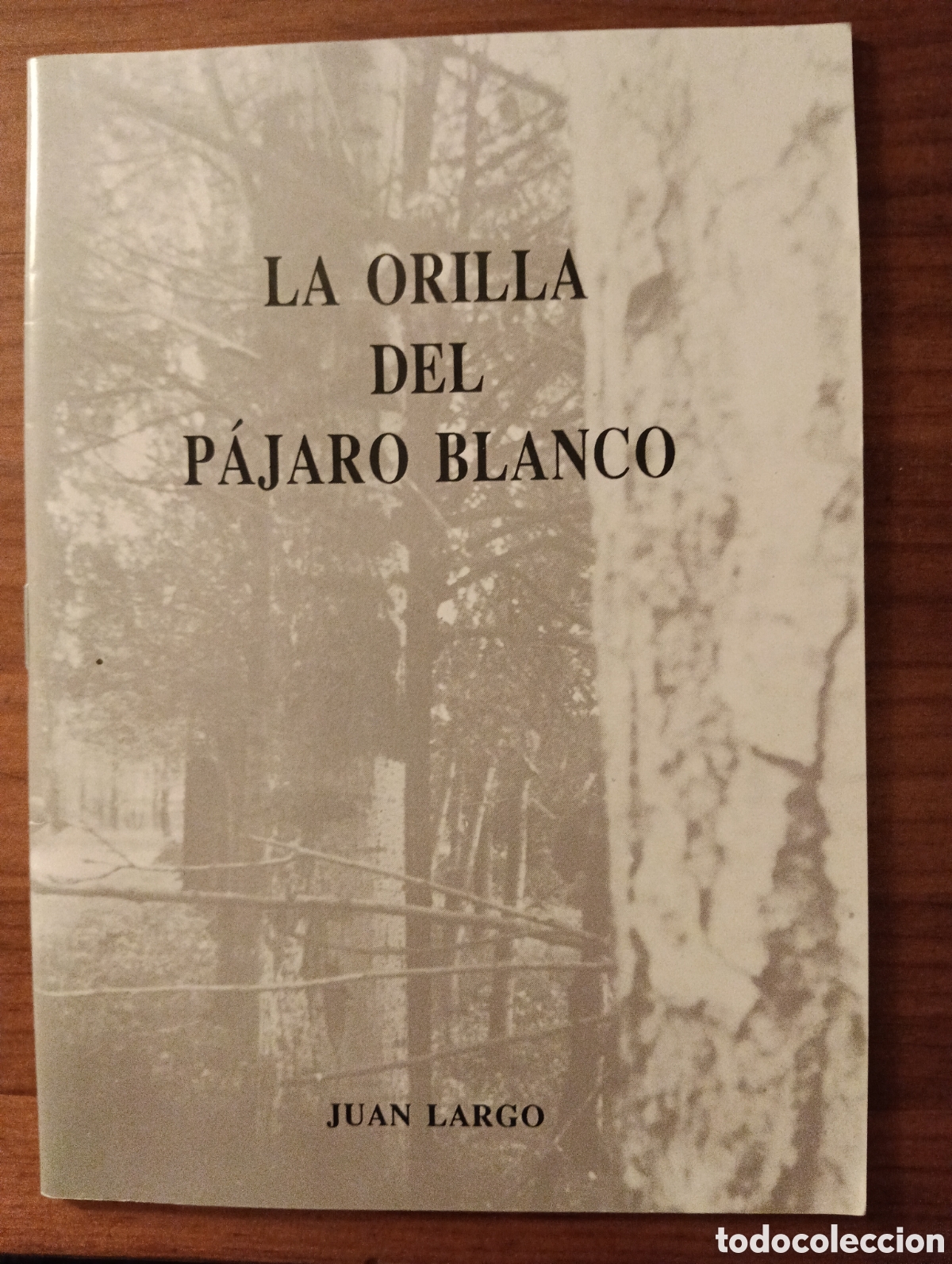 Libros de segunda mano: La orilla del p&aacute;jaro blanco, Juan Largo