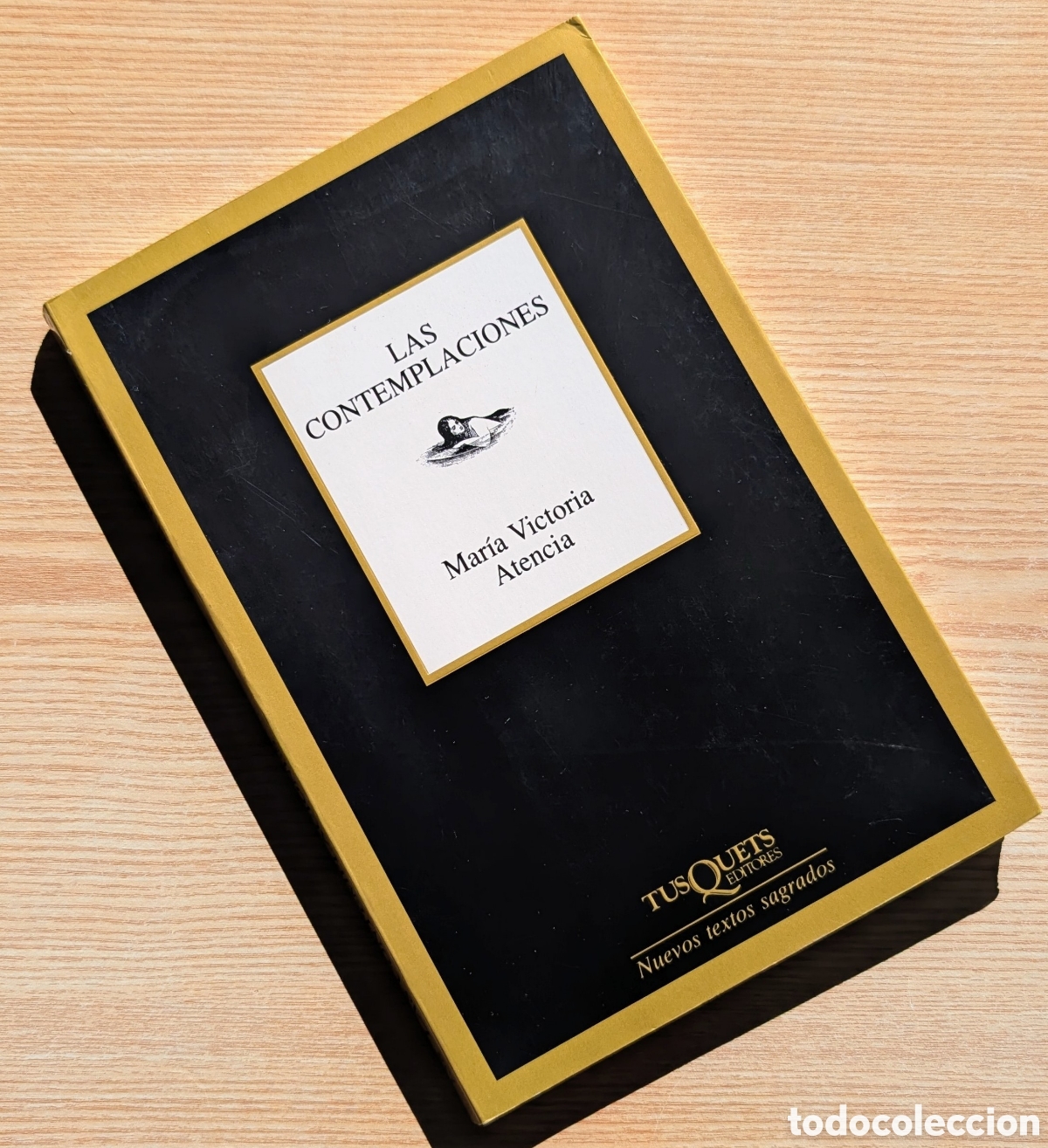 Libros de segunda mano: Las Contemplaciones - Almudena Guzm&aacute;n - 1&ordf; Edici&oacute;n 1997 - Tusquets (Marginales)