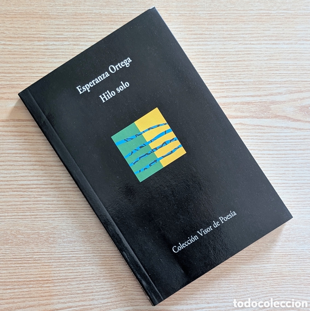 Libros de segunda mano: Libro Hilo Solo - Esperanza Ortega - Premio Gil de Biedma 1995 - Visor de Poes&iacute;a (N&ordm; 340)