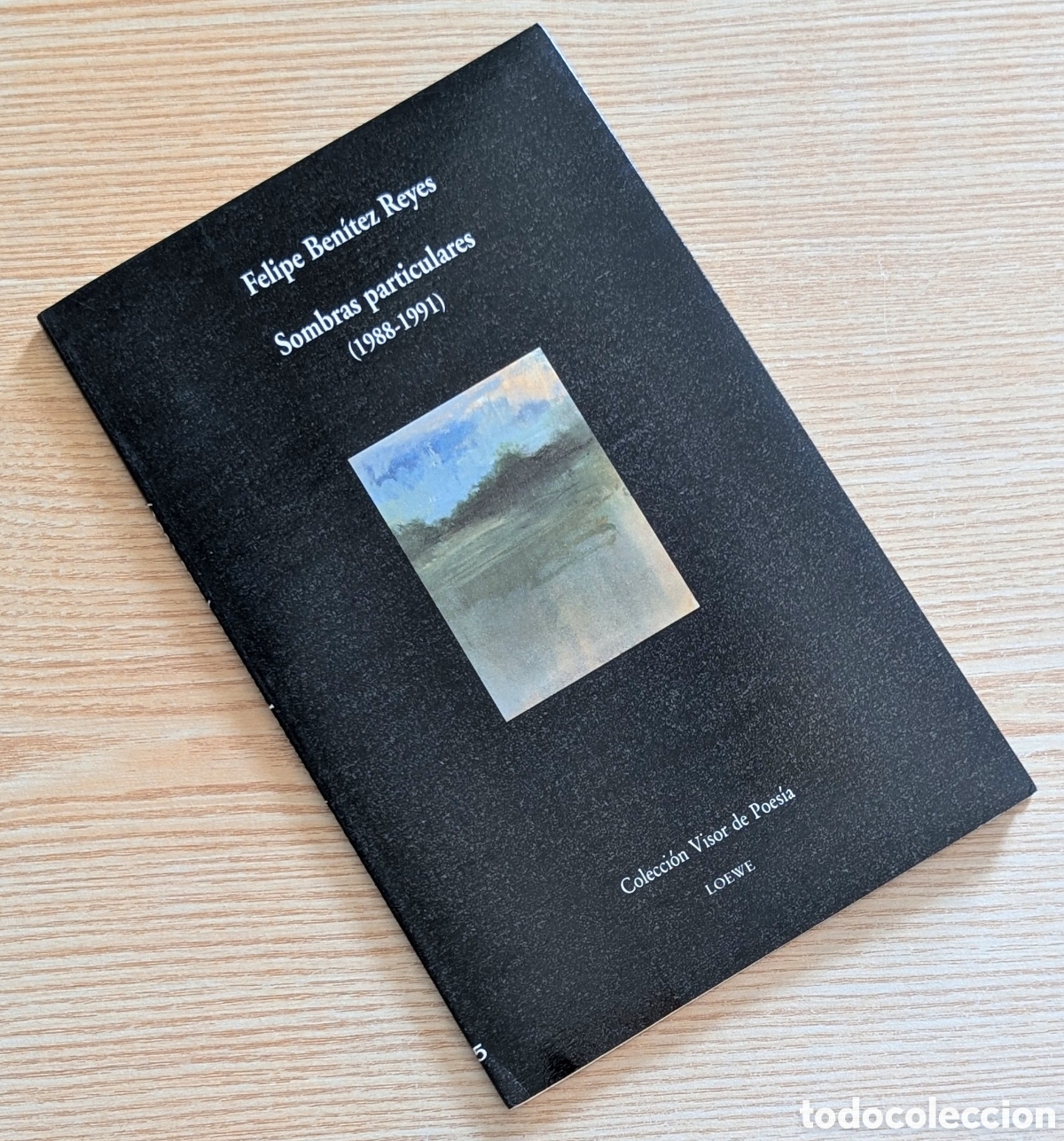 Libros de segunda mano: Libro Sombras Particulares (1988-1991) - Felipe Ben&iacute;tez Reyes - 1&ordf; Edici&oacute;n 1992 - Visor de Poes&iacute;a