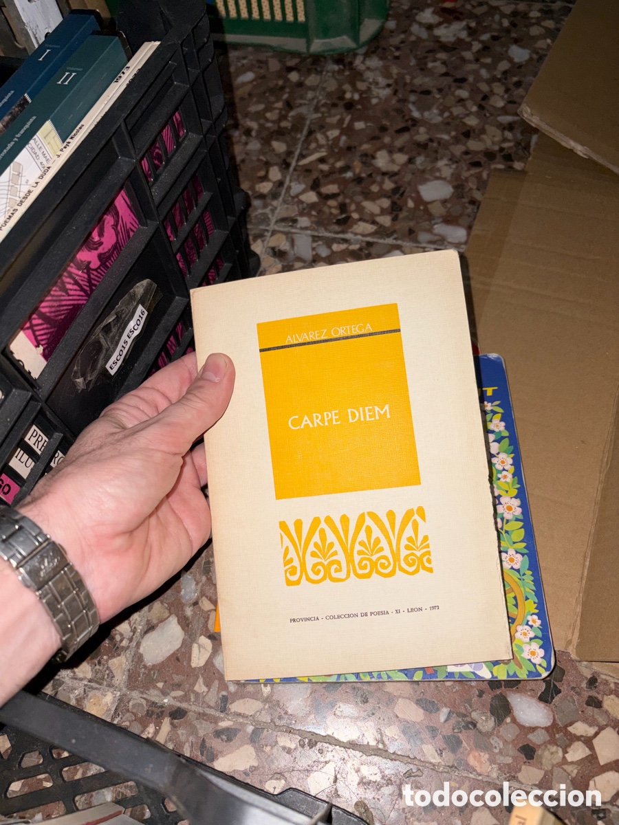 Libros de segunda mano: Esco15 ALVAREZ ORTEGA PPP CARPE DIEM PROVINCIA - COLECCION DE POESIA &bull; XI - LEON - 1972