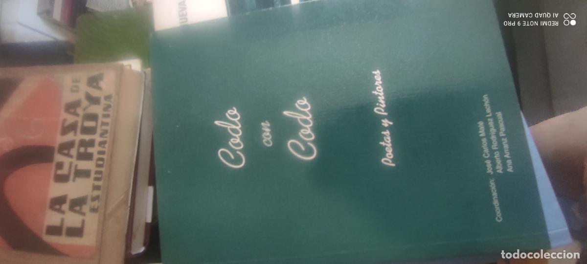 Libros de segunda mano: Codo con codo. Poetas y pintores - Jos&eacute; Carlos Mat&eacute;. Alberto Rodr&iacute;guez Lech&oacute;n. Ana Ar