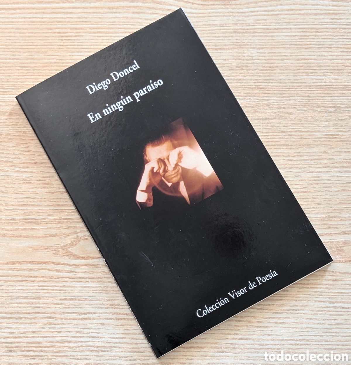 Libros de segunda mano: En ning&uacute;n para&iacute;so - Diego Doncel - Colecci&oacute;n visor de poes&iacute;a - edici&oacute;n 2005
