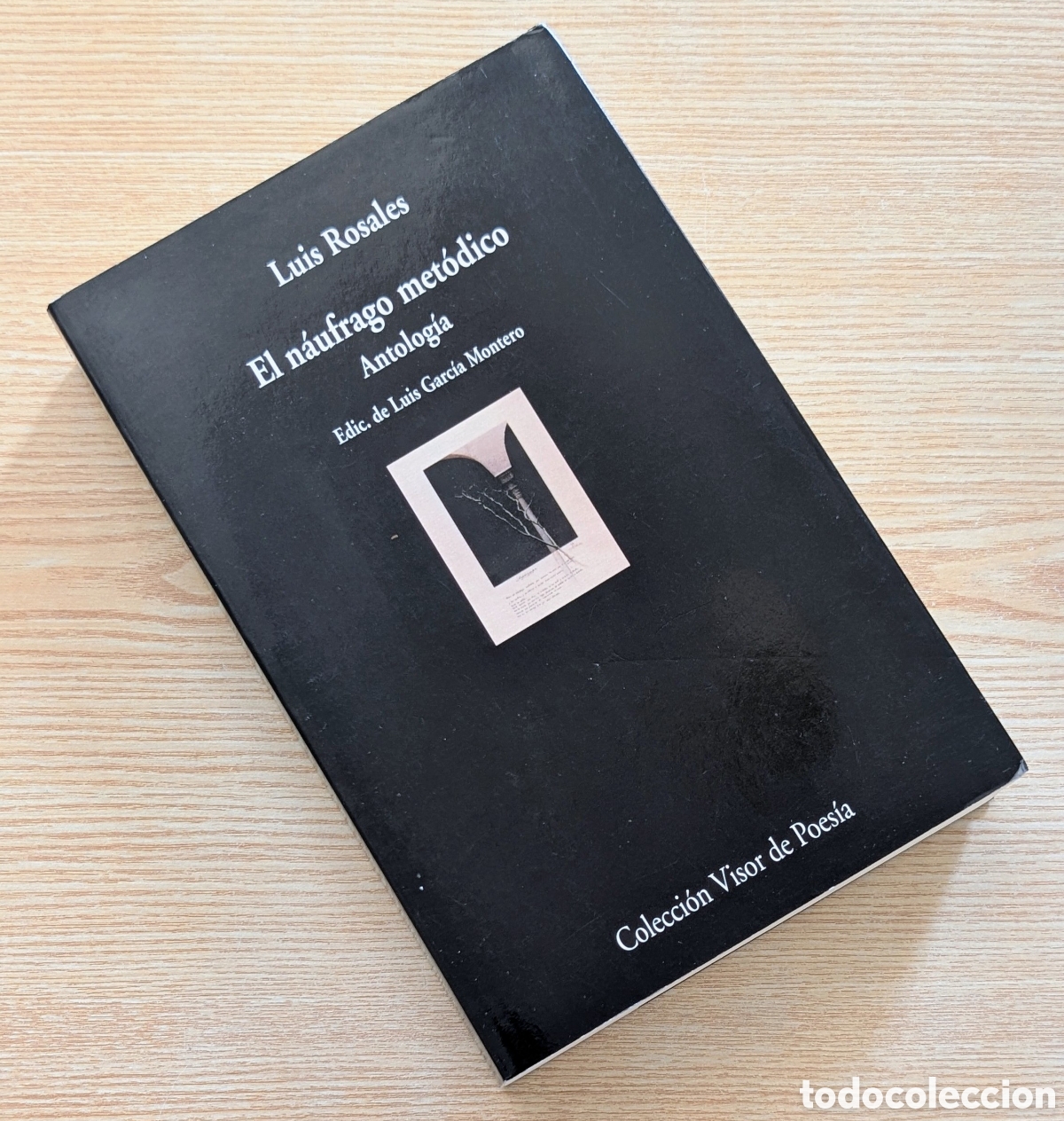 Libros de segunda mano: El n&aacute;ufrago m&eacute;todico - Luis Rosales - Colecci&oacute;n Visor de Poes&iacute;a - edici&oacute;n 2005
