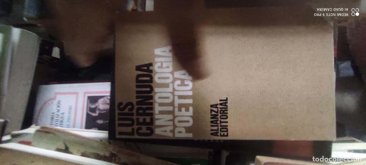 Libros de segunda mano: Cernuda. Antolog&iacute;a po&eacute;tica. Alianza