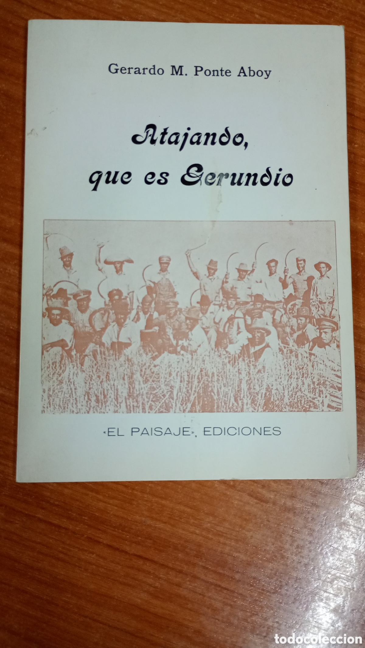 Libros de segunda mano: Atajando que es gerundio. Gerardo M. Ponte Aboy