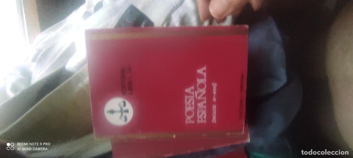 Libros de segunda mano: Poes&iacute;a Espa&ntilde;ola. Libra. Purpura