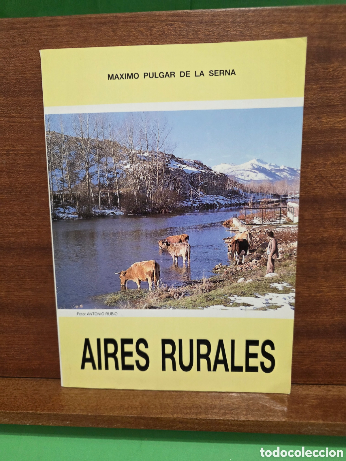Libros de segunda mano: &rdquo;&rdquo;AIRES RURALES&rdquo;&rdquo;...M&Aacute;XIMO PULGAR DE LA SERNA...PALENCIA...1993...