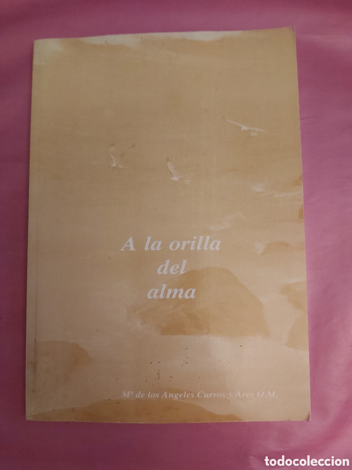 Libros de segunda mano: A AL ORILLA DEL ALMA DEDICADO POR MARIA ANGELES CURROS